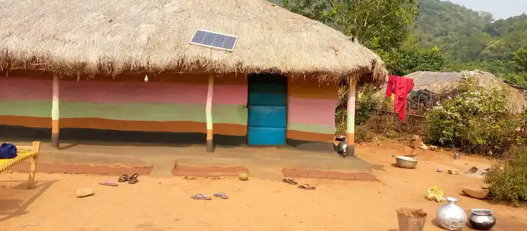 ମାଙ୍କିଡିଆ ପୋଟ