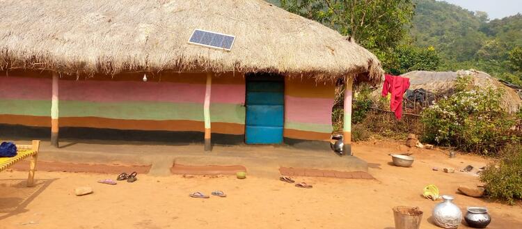 ମାଙ୍କିଡିଆ ପୋଟ